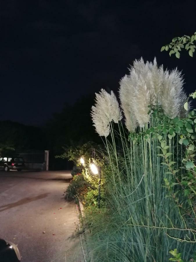 Villa Le Stanze Di Bacco Cagnano Amiterno Exterior foto